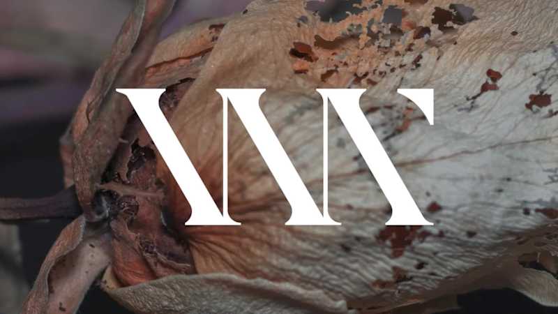 Cover image for Logo and Branding Kit- Luxury Perfume Brand