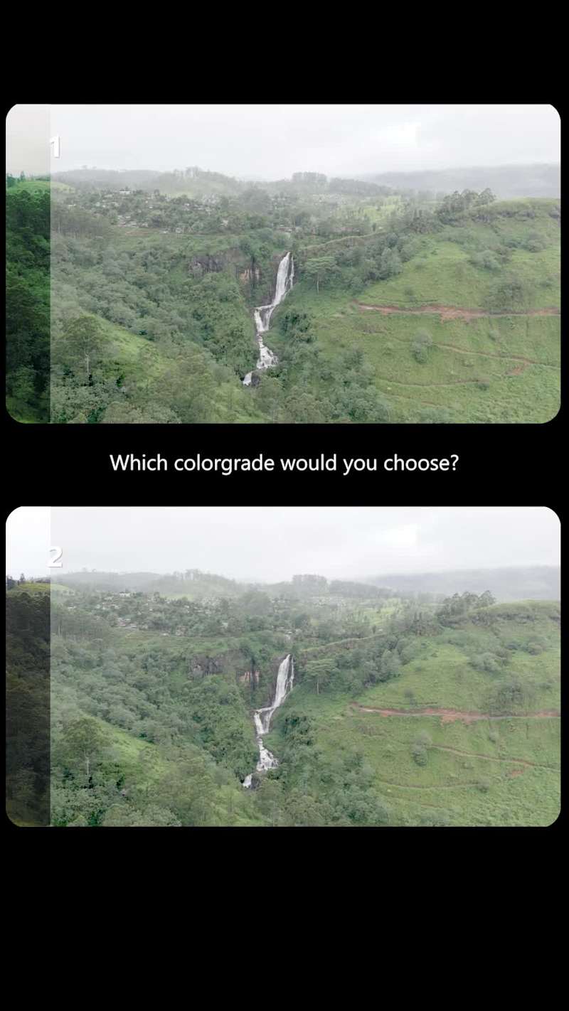 Cover image for Freelance Graphic Designer Available for Quick Turnaround