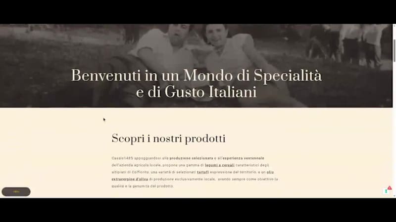 Cover image for Casale 1485 Showcase Website Development