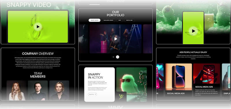 Cover image for Snappy Video