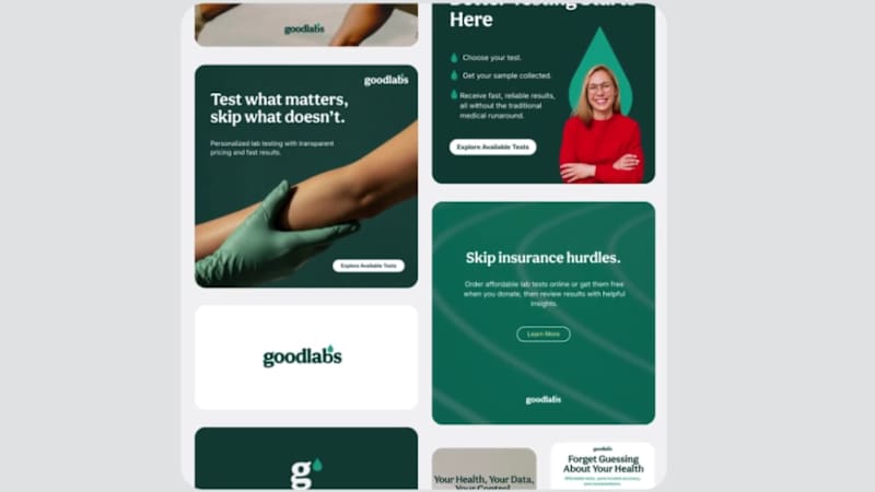 Cover image for Goodlabs | Full-Funnel Ad Strategy and Optimization
