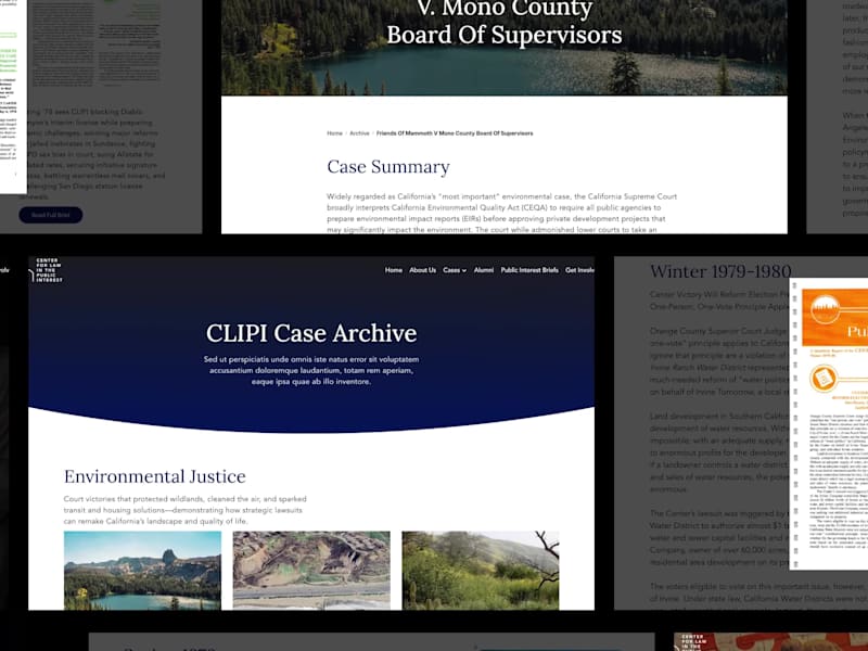 Cover image for CLIPI Historical Archive — Framer D&D