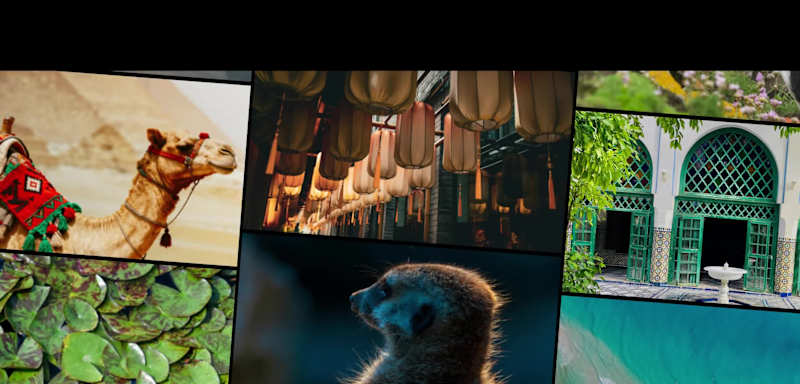 Cover image for Hope everyone is having a great weekend! 🙌 I built this com...