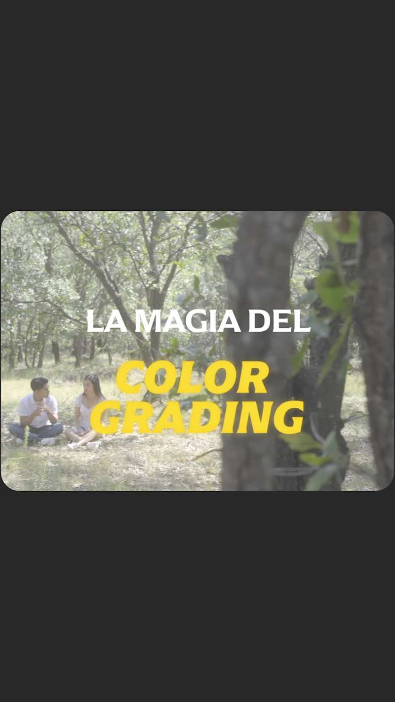 Cover image for The magic of color grading