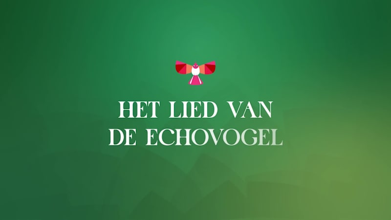 Cover image for Designing a Story-Driven Web Experience