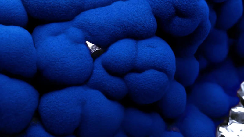 Cover image for Visualizations for Bio-Inspired Innovations