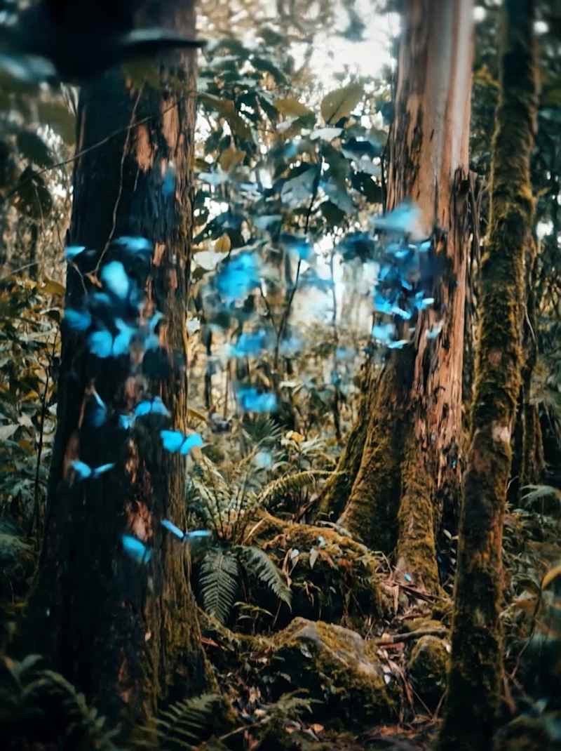 Cover image for BVLGARI - Spec Ad