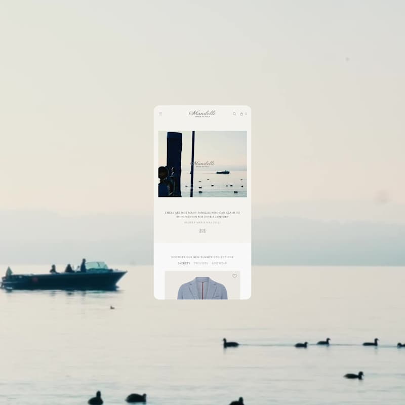 Cover image for Mandelli