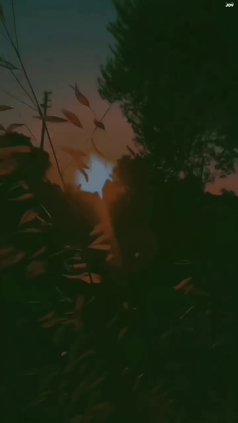 Cover image for "Serenity in the Rain"