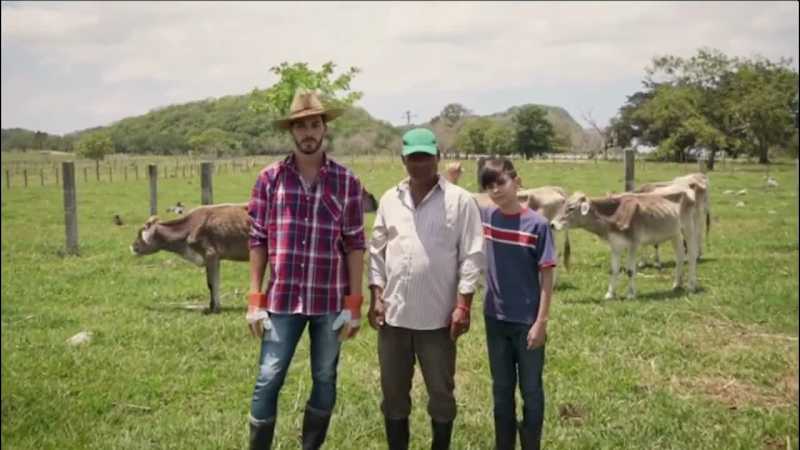 Cover image for Advanced Wildfire Prediction and Alert System