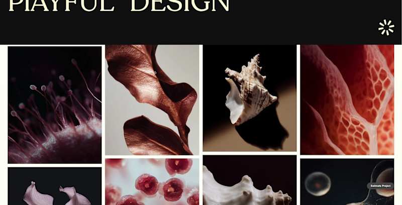 Cover image for Enhance Your Mockups: Download Free Placeholder Nature Photos