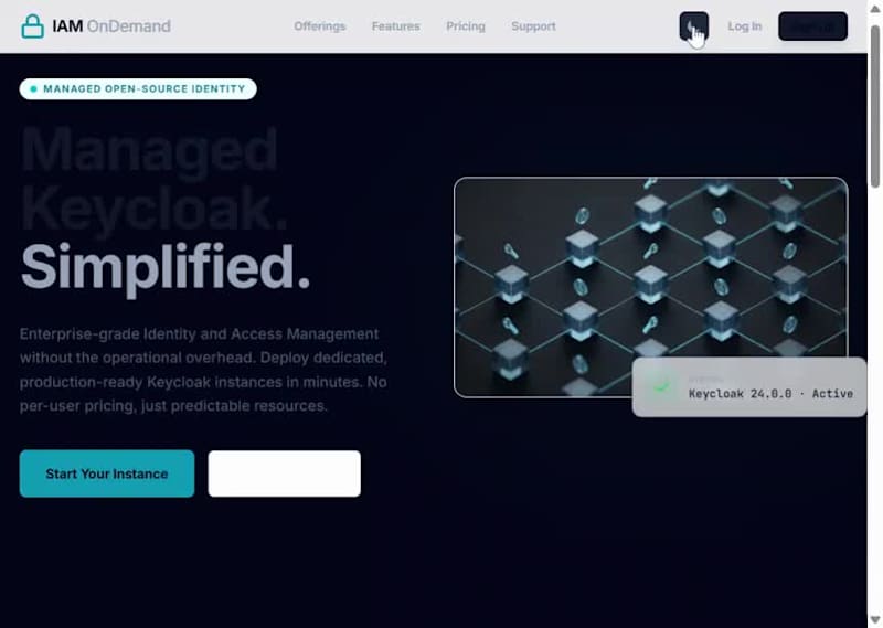 Cover image for IAM OnDemand SaaS Website Design and Optimization