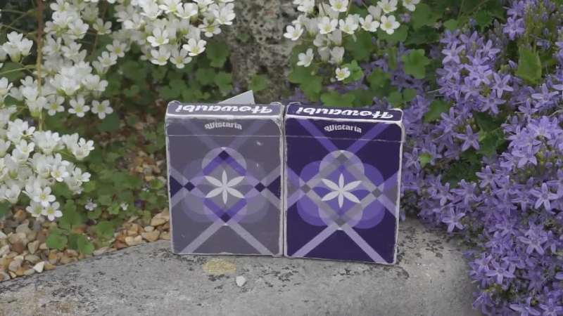 Cover image for Wistaria: Custom Playing Cards