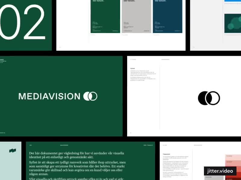 Cover image for Mediavision