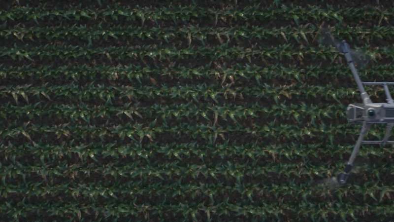 Cover image for Hey Beautiful People! 
I just