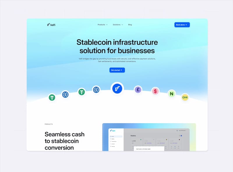 Cover image for Landing page for Stablecoin infrastructure business