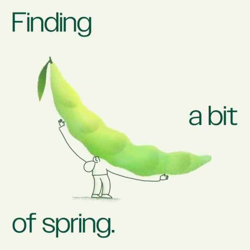 Cover image for Sweetgreen Branding 