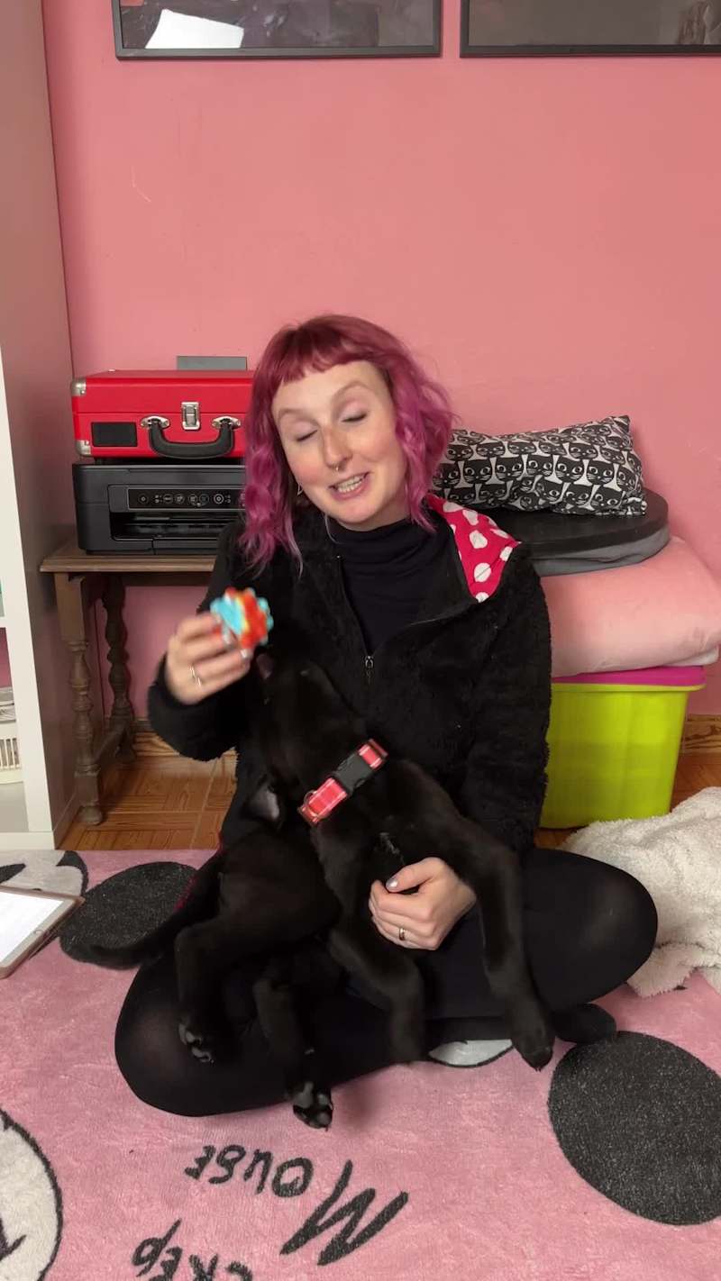 Cover image for If you speak Portuguese and