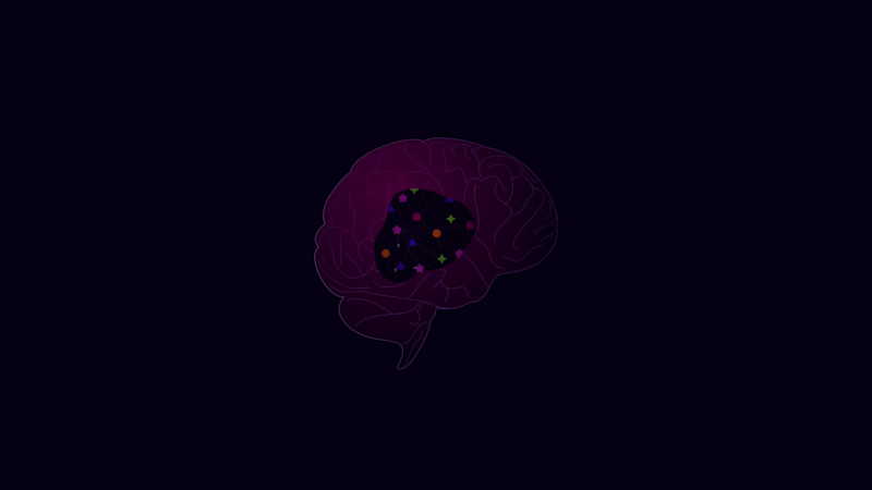 Cover image for Faux 3D Brain Rotation Animation for iDoRecall
