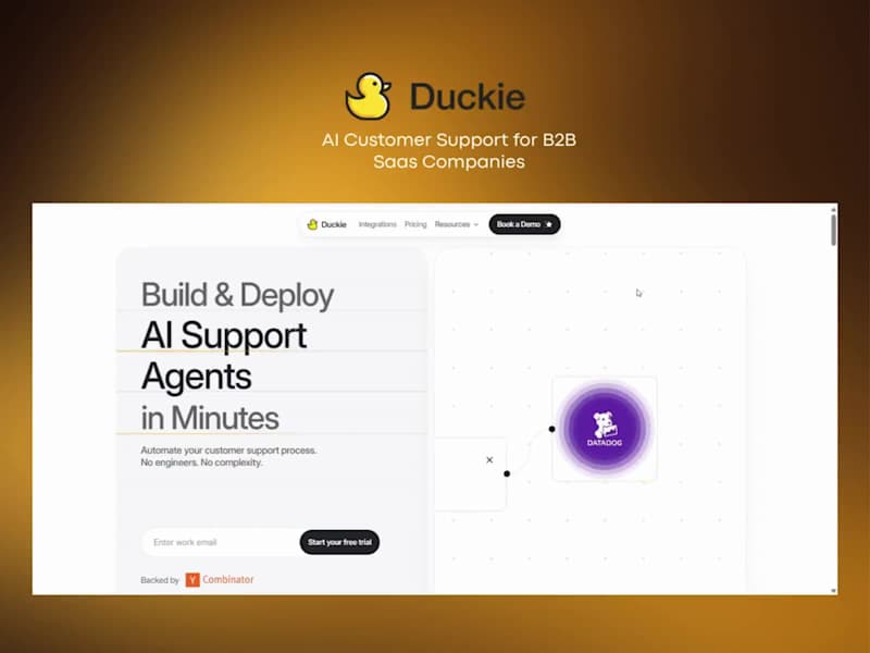 Cover image for Duckie - AI Customer Support for B2B SaaS Companies