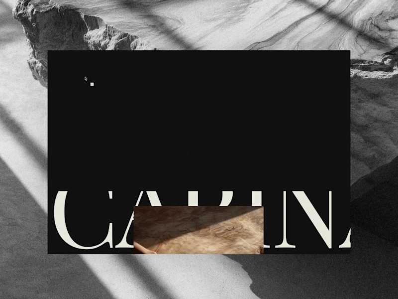 Cover image for Carina E-commerce Template