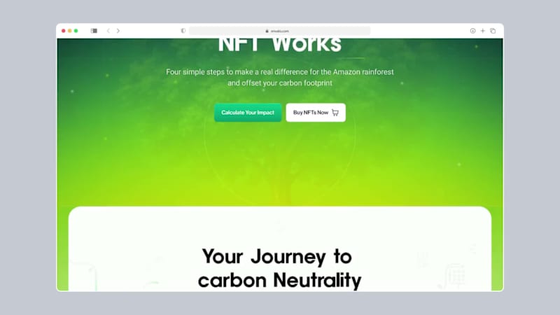 Cover image for Amazon Carbon NFT: Sustainable Web3 Design