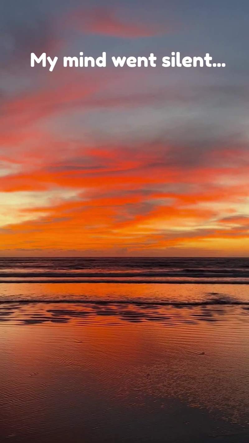 Cover image for Sometimes the mind goes silent when we need it to speak the ...