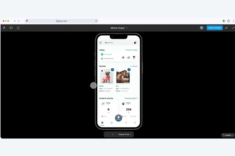 Cover image for Pi-Pets Mobile Application Design