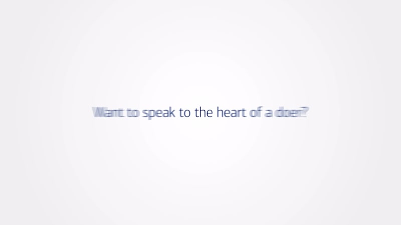 Cover image for Bank of America - Brand Video 2022