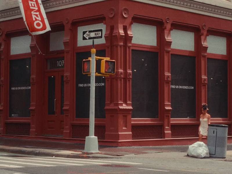 Cover image for Color done for "Luna"