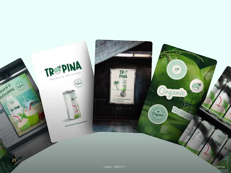 Cover image for Tropina — Visual Brand Identity Design