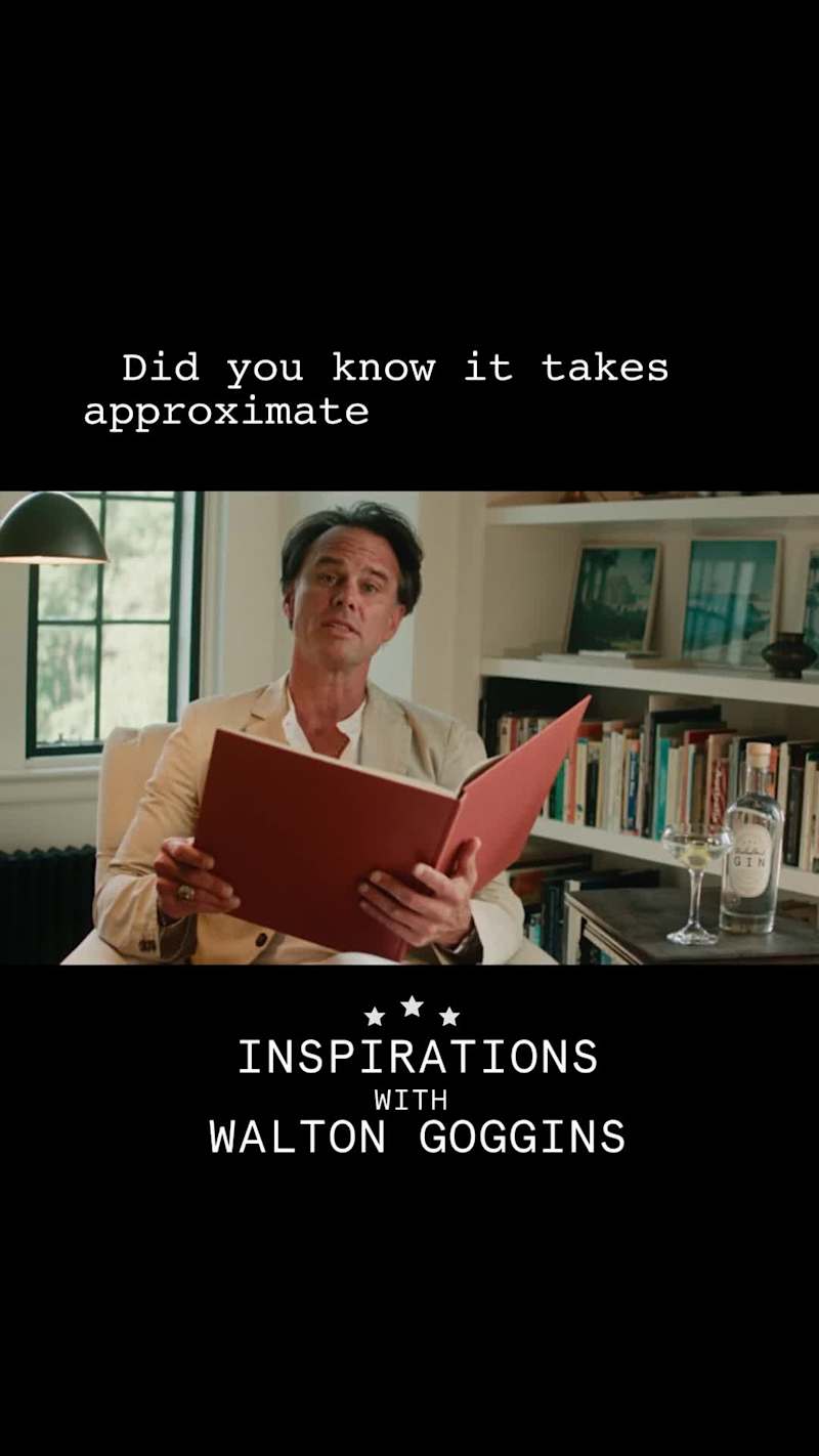 Cover image for Walton Goggins : "Inspirations" for Mulholland Gin