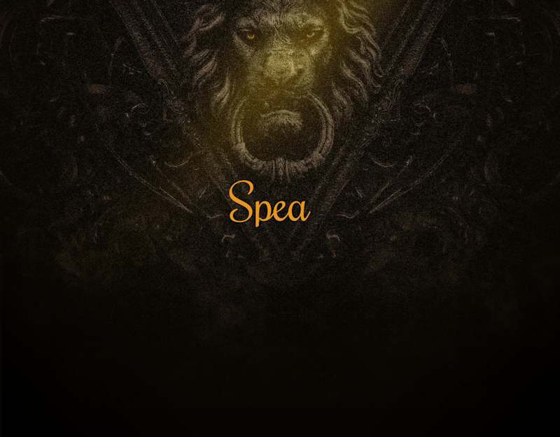 Cover image for Speak Whiskey / Brand design / Logo Design 