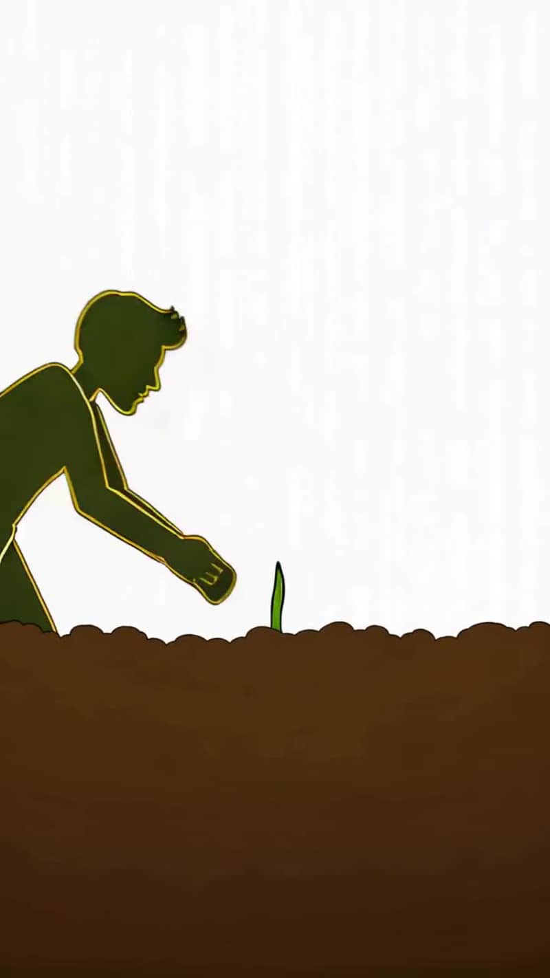 Cover image for Working with 3D animation for