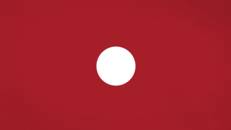 Cover image for Minimalist motion graphics for Philip Morris International