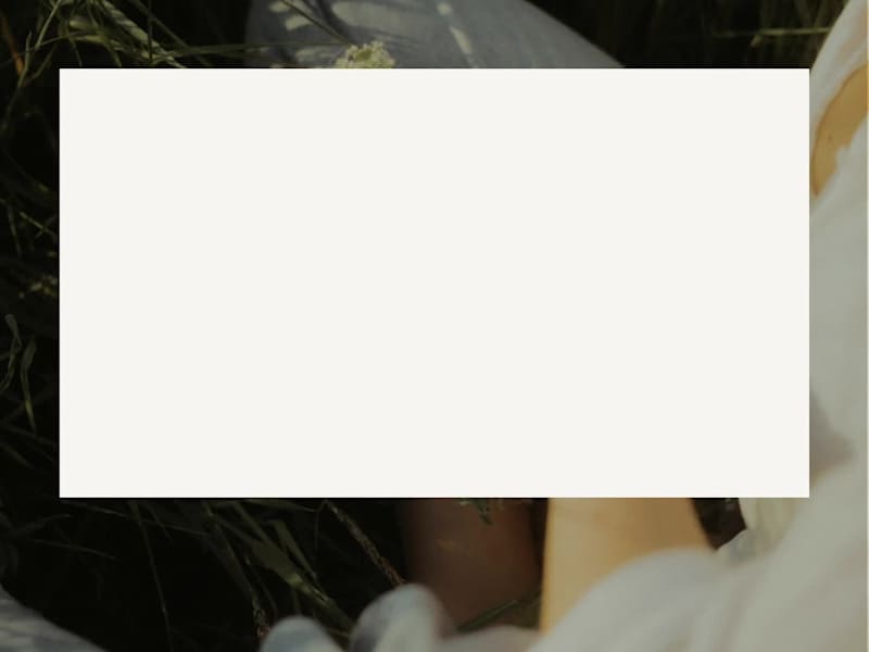 Cover image for Quiet. Bold. Editorial. A visual exploration inspired by mod...