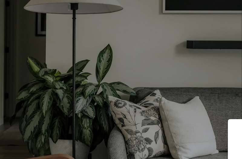 Cover image for Happy to share that my new Logo Animation Component is now l...