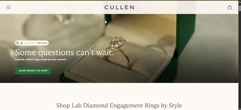 Cover image for This Shopify store is strategically designed to attract visi...