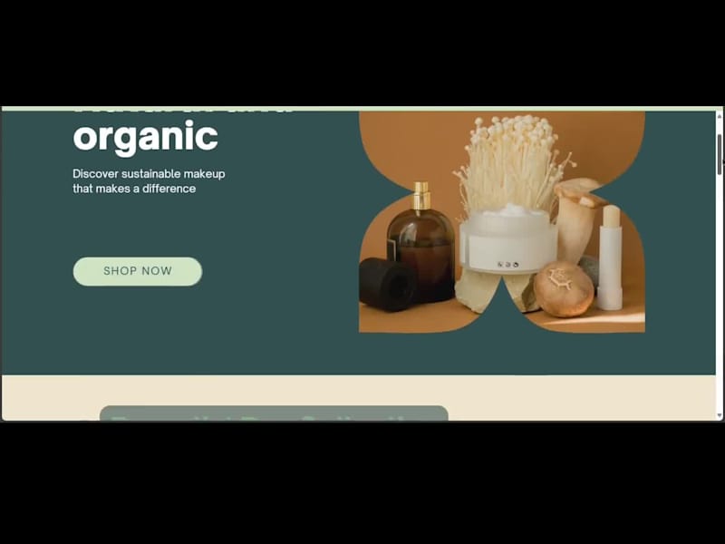 Cover image for Beauty Brand Website (Wordpress + Woocommerce)