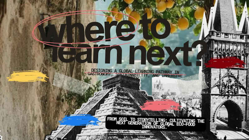 Cover image for Italy as a Learning Hub