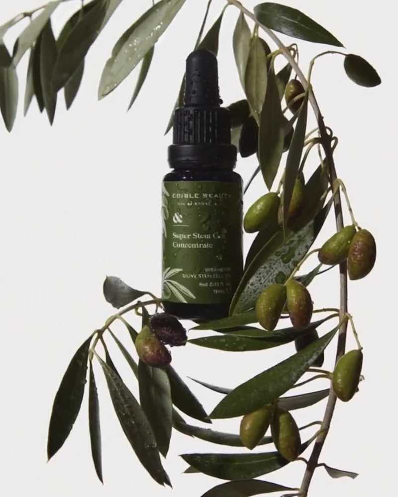 Cover image for Beauty Packaging Design