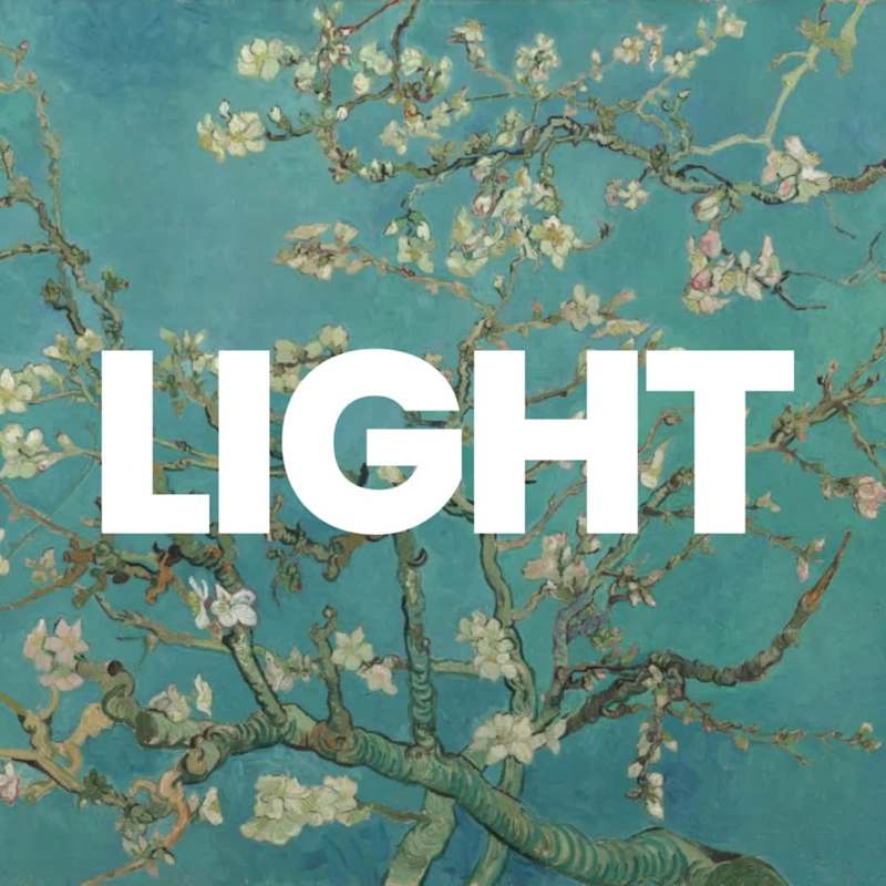 Cover image for Final Submission for the Webflowchallenge The Federal Curato...