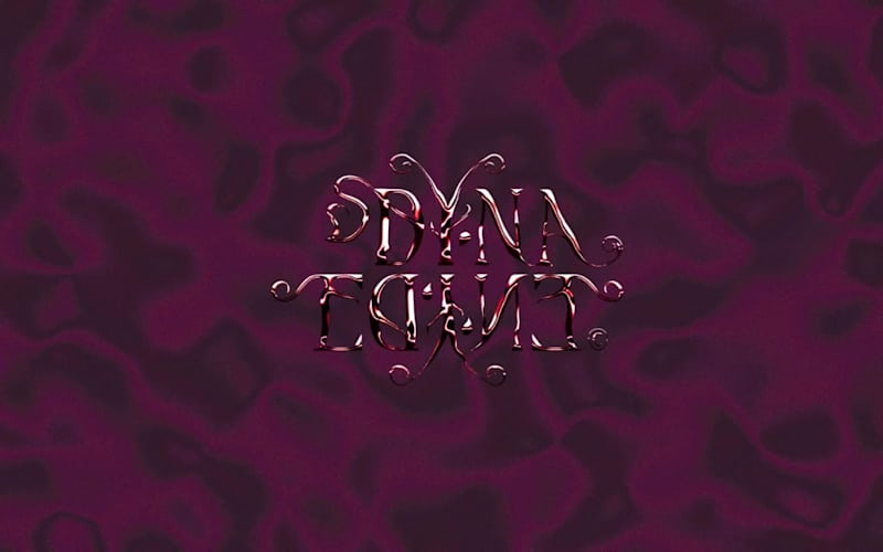 Cover image for Dyna Edyne | Visual Identity