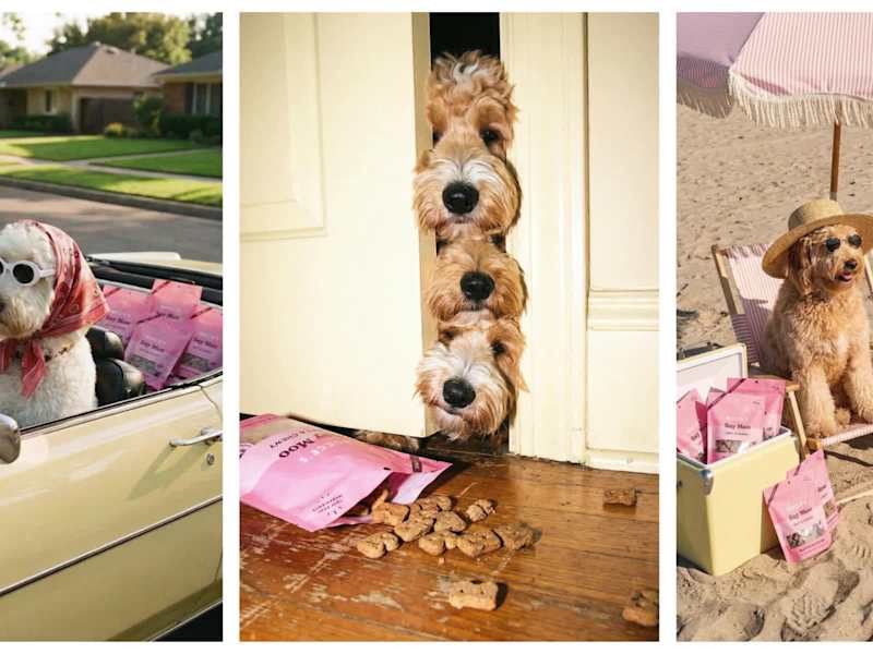 Cover image for Bocce's Bakery AI-Assisted Campaign