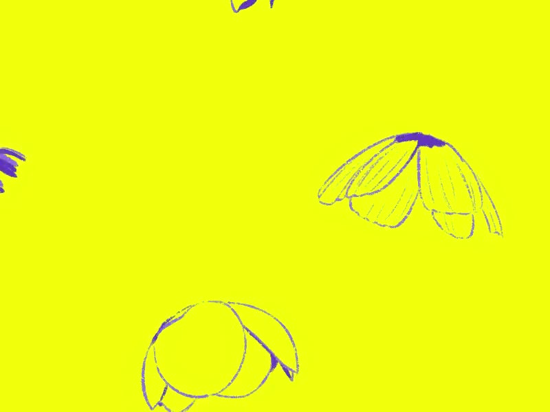 Cover image for Flow