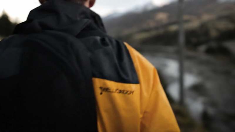 Cover image for Wellcaddy Brand Identity Development