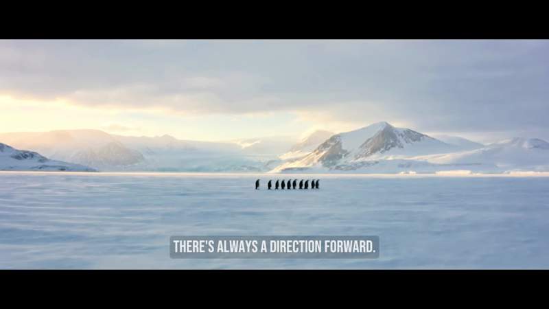 Cover image for 1/3 videos I had created