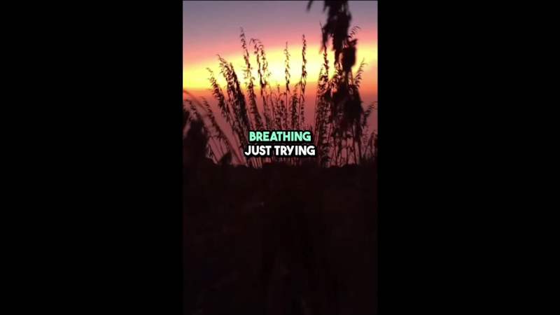 Cover image for Music Lyric Video