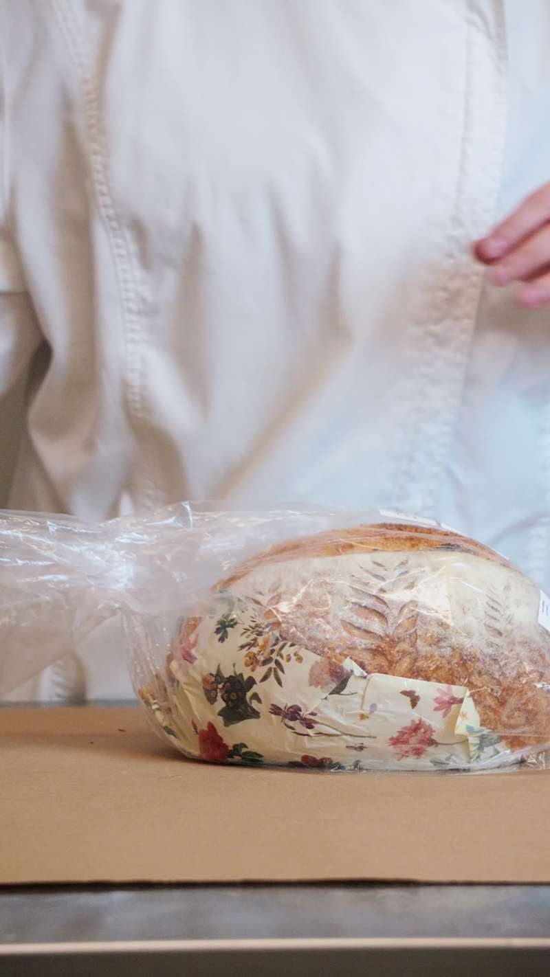 Cover image for pandemia