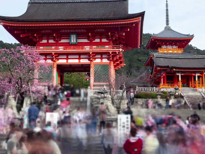 Cover image for Thank You Democracy - Video Editing